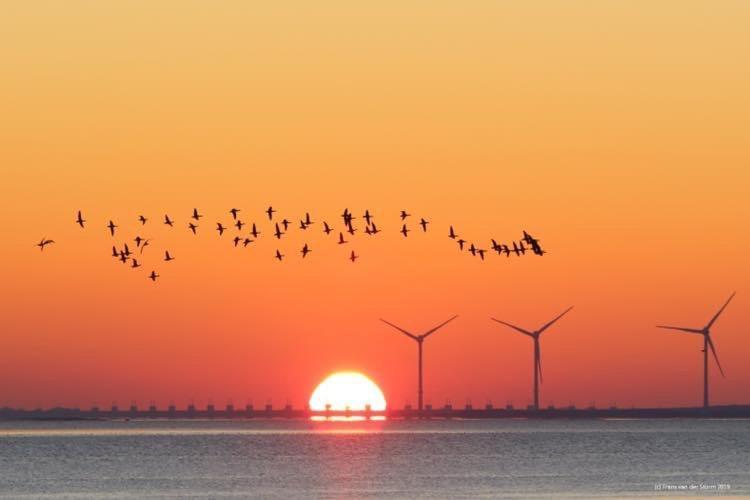 Heerenkeet 4 Pers Appartement Aan De Oosterschelde Kerkwerve Экстерьер фото